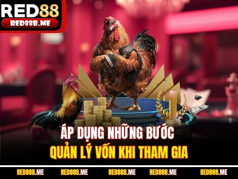 Đá Gà C1 RED88 – Sân Chơi Đỉnh Cao Dành Cho Tín Đồ Chọi Kê - JADE68