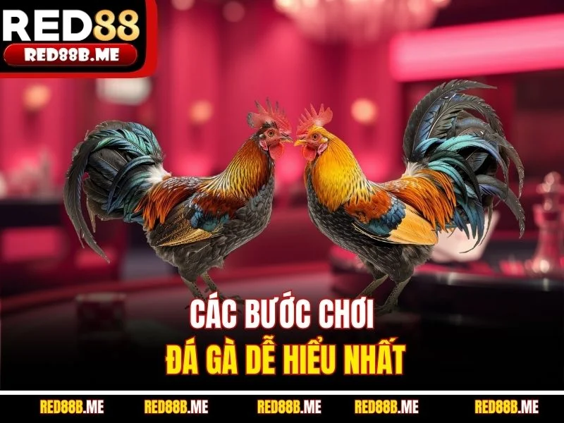 Đá Gà RED88 2026 Đỉnh Cao Giải Trí Cá Cược Trực Tuyến - JADE68