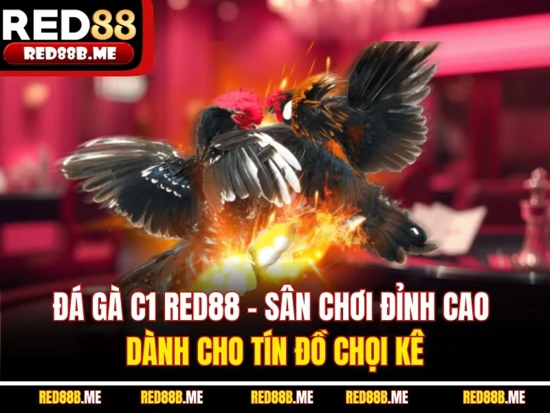 Đá Gà RED88 – Đỉnh Cao Cảm Xúc Chiến Kê Trực Tuyến - JADE68