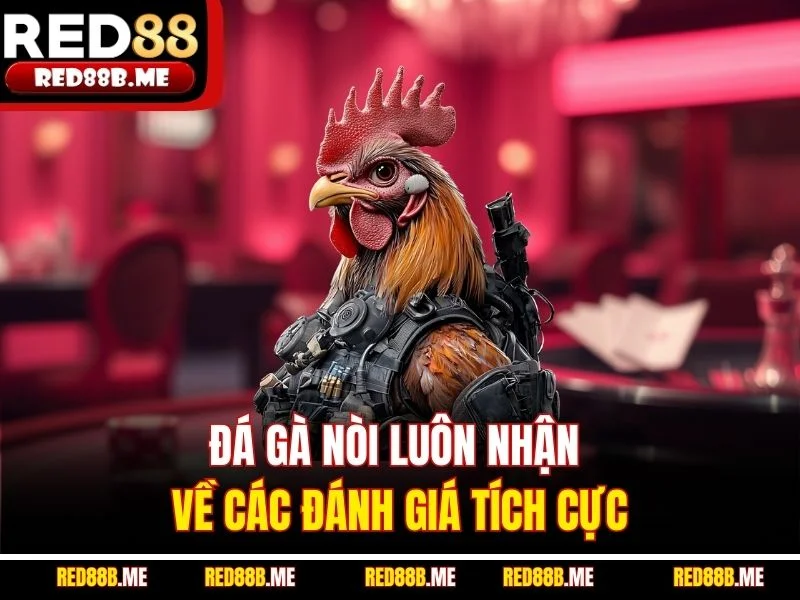 Đá Gà C1 RED88 – Sân Chơi Đỉnh Cao Dành Cho Tín Đồ Chọi Kê - JADE68