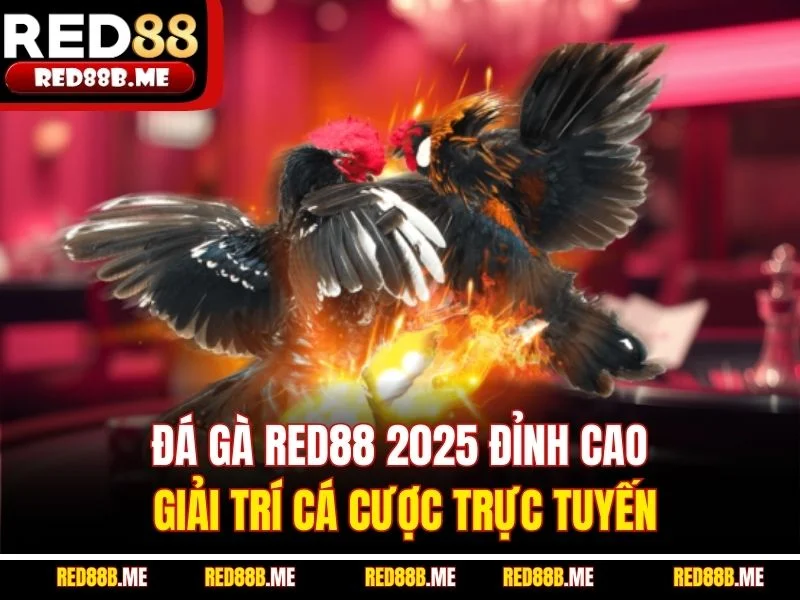 Đá Gà RED88 – Đỉnh Cao Cảm Xúc Chiến Kê Trực Tuyến - JADE68