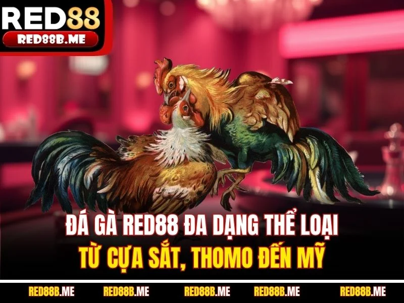 Đá Gà RED88 – Đỉnh Cao Cảm Xúc Chiến Kê Trực Tuyến - JADE68