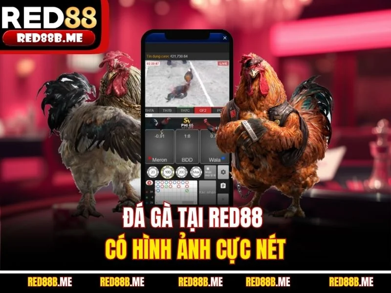 Đá Gà RED88 2026 Đỉnh Cao Giải Trí Cá Cược Trực Tuyến - JADE68
