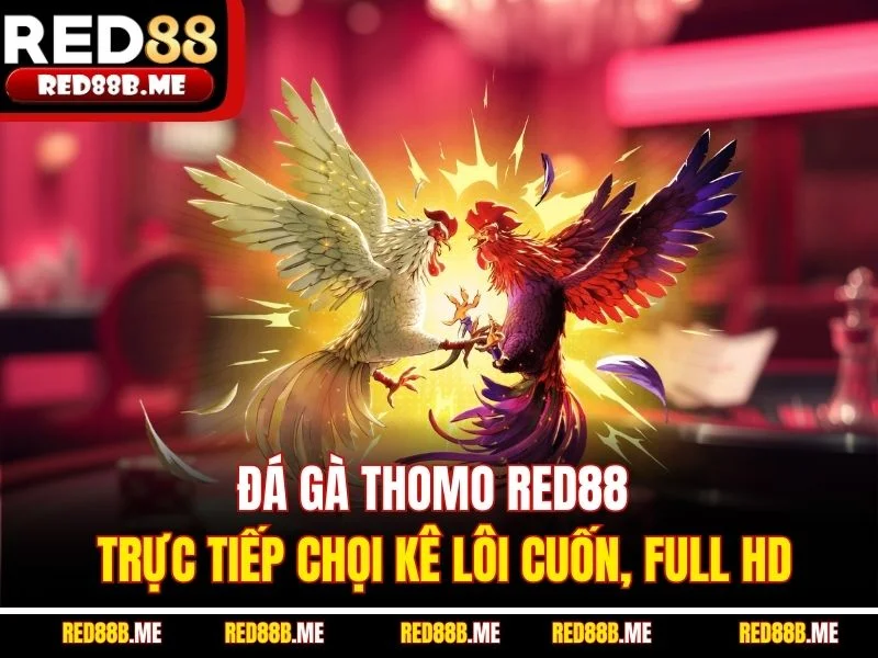 Đá Gà RED88 – Đỉnh Cao Cảm Xúc Chiến Kê Trực Tuyến - JADE68