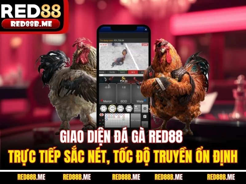 Đá Gà RED88 – Đỉnh Cao Cảm Xúc Chiến Kê Trực Tuyến - JADE68