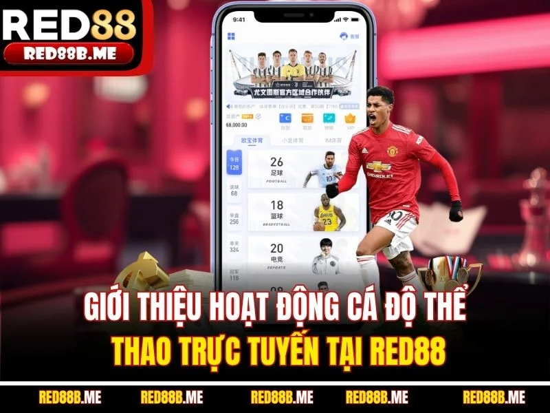 Cá Cược Thể Thao RED88 – Tỷ Lệ Cạnh Tranh, Nhiều Kèo Cực Hot - JADE68