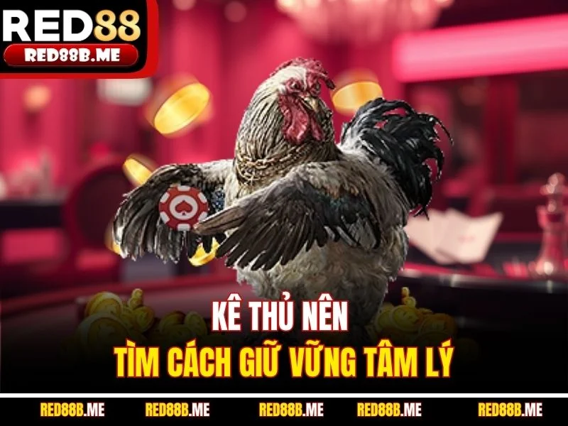 Đá Gà C1 RED88 – Sân Chơi Đỉnh Cao Dành Cho Tín Đồ Chọi Kê - JADE68