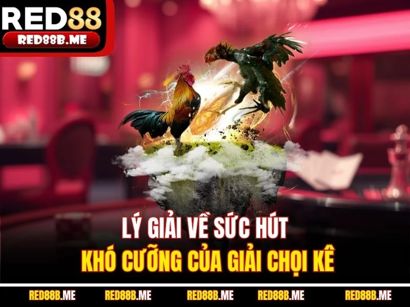 Đá Gà C1 RED88 – Sân Chơi Đỉnh Cao Dành Cho Tín Đồ Chọi Kê - JADE68