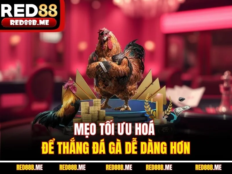 Đá Gà RED88 2026 Đỉnh Cao Giải Trí Cá Cược Trực Tuyến - JADE68