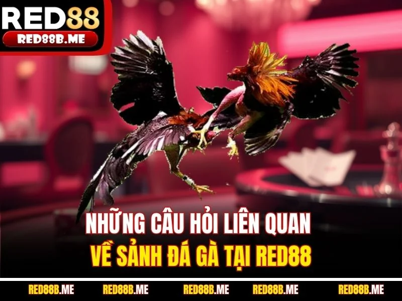Đá Gà RED88 2026 Đỉnh Cao Giải Trí Cá Cược Trực Tuyến - JADE68