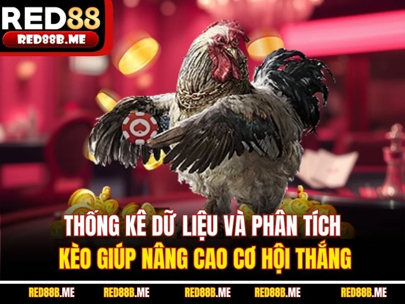 Đá Gà RED88 – Đỉnh Cao Cảm Xúc Chiến Kê Trực Tuyến - JADE68